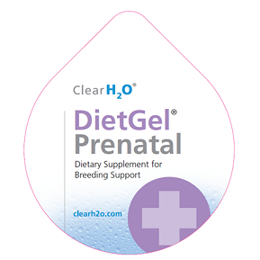 DietGel® Prenatal