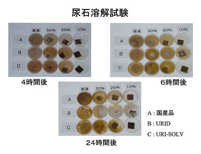 尿石溶解試験（4時間後・6時間後・24時間後）